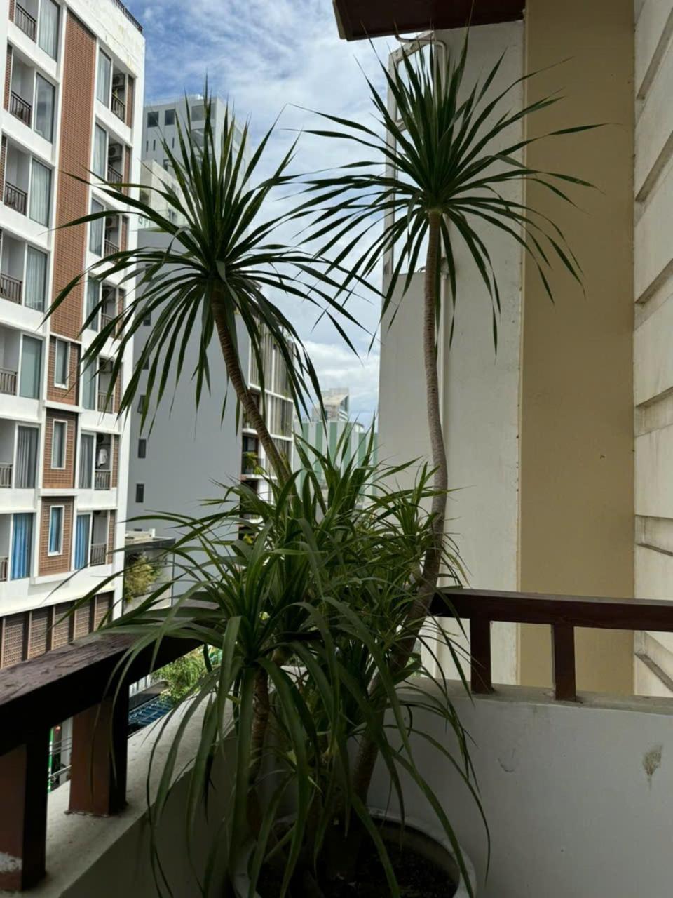 Thanh Hien Hb Hotel Danang Exterior photo